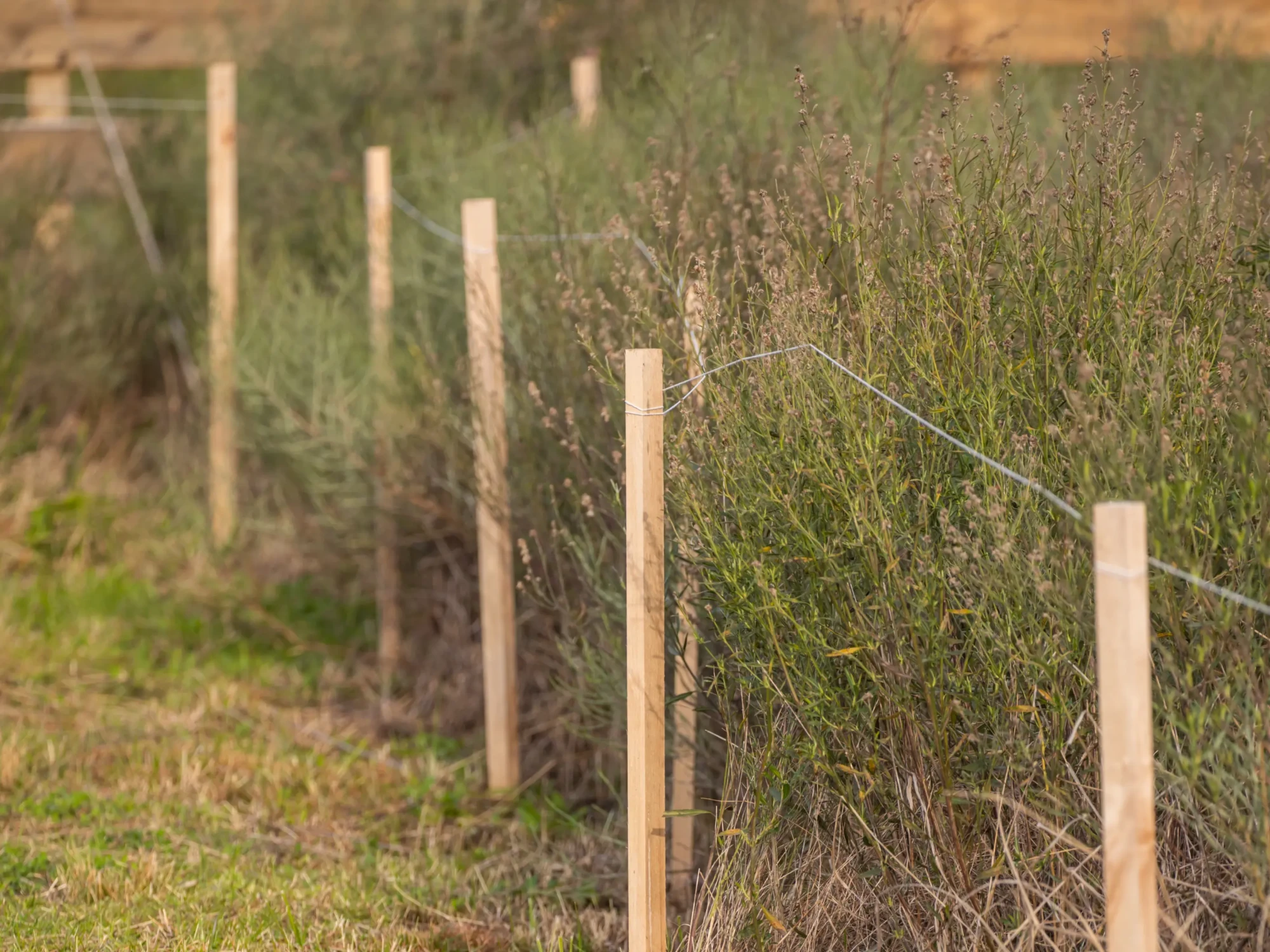 Bornage d’un terrain : pourquoi et comment le faire ?