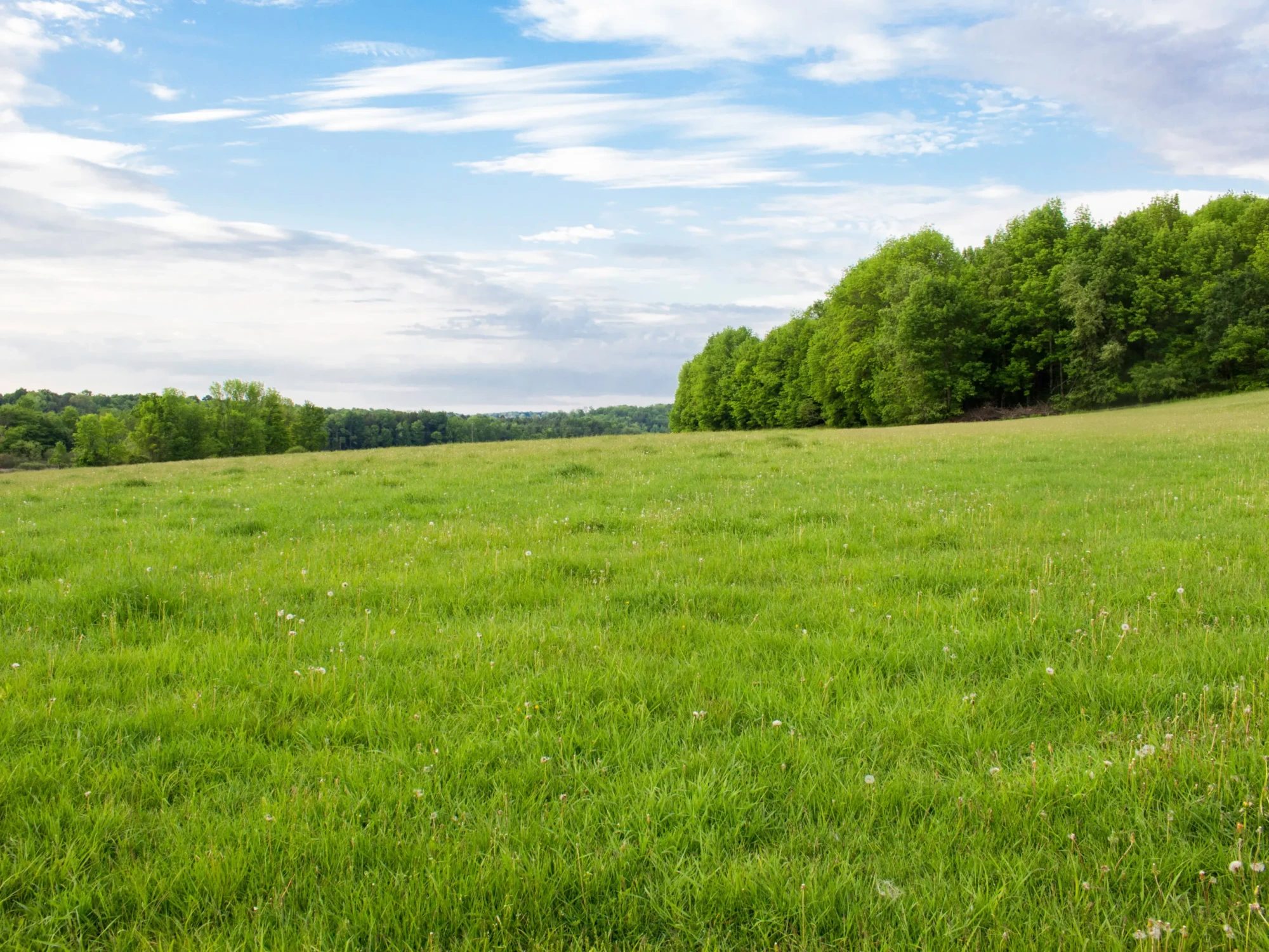 Achat d’un terrain issu d’une division parcellaire récente : quelles précautions ?